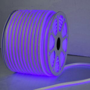 Garden Neon Rope Lights Waterproof 10ft AC 100-120V Supplier