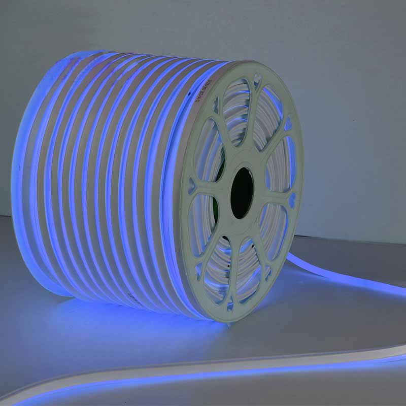neon flexible strip light 5m manufacturer